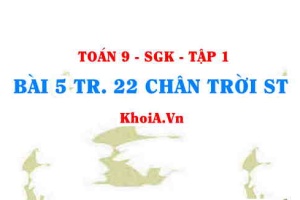 Bài 5 trang 22 Toán 9 Chân trời sáng tạo Tập 1